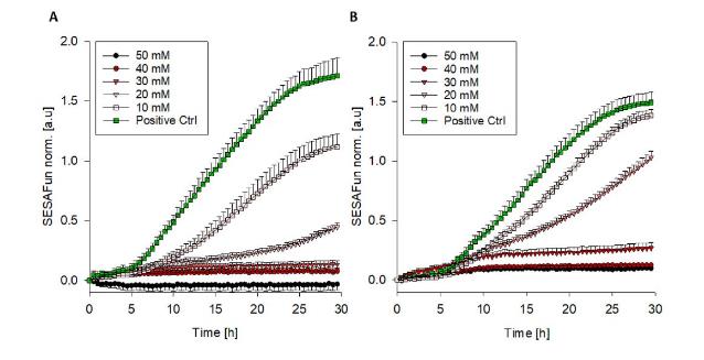 微生物生长曲线系统评估黑曲霉孢子在不同铜离子浓度下的生长情况