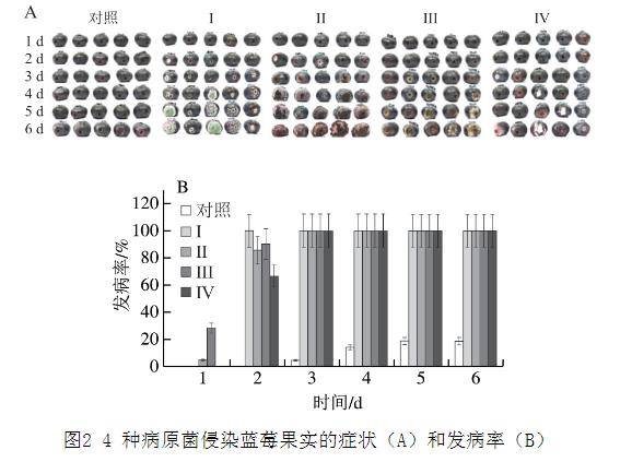 25种天然植物精油对蓝莓致病菌生长曲线、抑制作用（二）