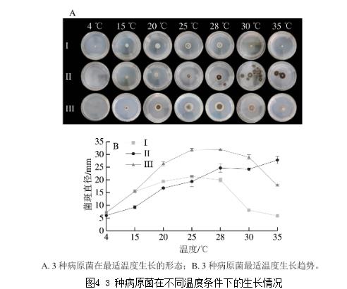 25种天然植物精油对蓝莓致病菌生长曲线、抑制作用（三） 