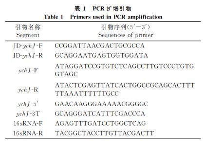 生长曲线测定法和菌落计数法确定YchJ对鼠伤寒沙门菌抗逆能力的影响——摘要