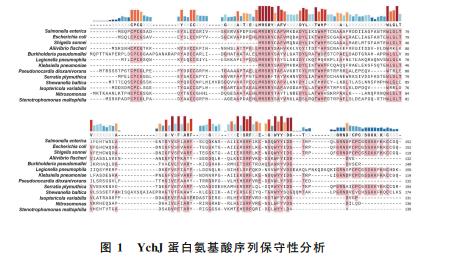 生长曲线测定法和菌落计数法确定YchJ对鼠伤寒沙门菌抗逆能力的影响——方法