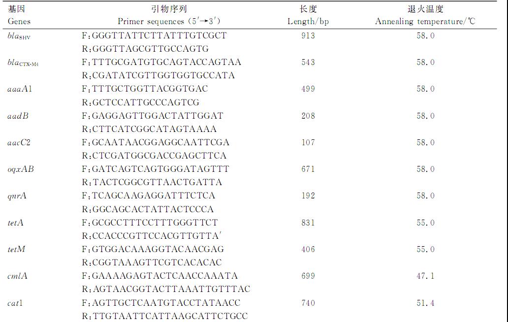 鹌鹑肺炎克雷伯菌血清型鉴定、耐药性检测及致病潜力（一）