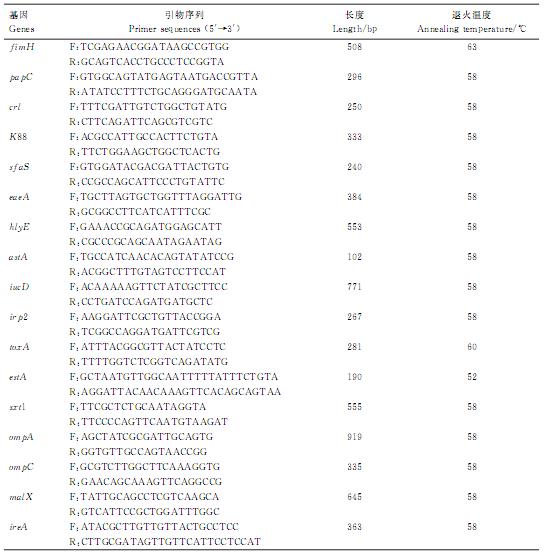 鹌鹑肺炎克雷伯菌血清型鉴定、耐药性检测及致病潜力（二）