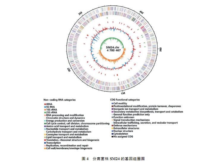 鸡印第安纳株沙门菌生长、致病性及药物敏感性研究（三）