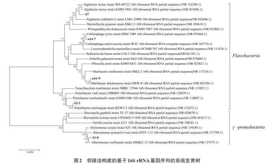 浒苔多糖降解微生物采集、分离、筛选、鉴定及生长曲线测定（二）