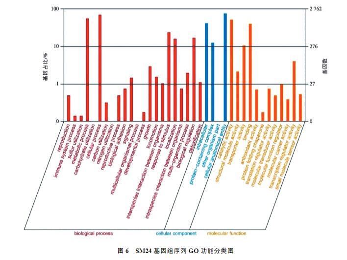 鸡印第安纳株沙门菌生长、致病性及药物敏感性研究（四）
