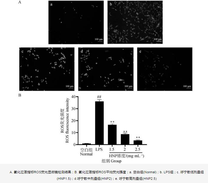呼宁散对鸡肺源大肠杆菌生长曲线、细胞壁的影响及抑制效果——结果