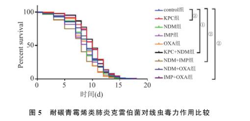 耐碳青霉烯类肺炎克雷伯菌生长曲线测定及对线虫毒力作用（三）