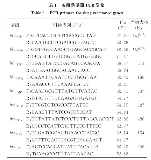 耐碳青霉烯类肺炎克雷伯菌生长曲线测定及对线虫毒力作用（一）
