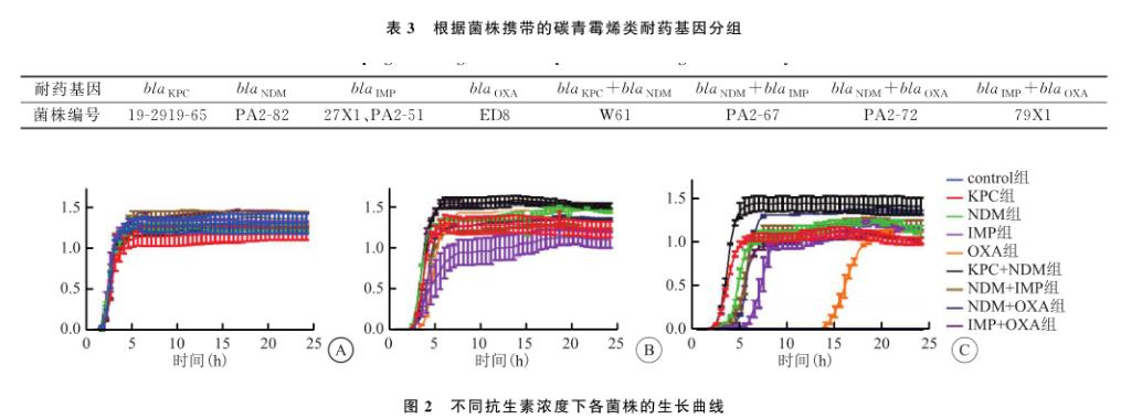 耐碳青霉烯类肺炎克雷伯菌生长曲线测定及对线虫毒力作用（二）
