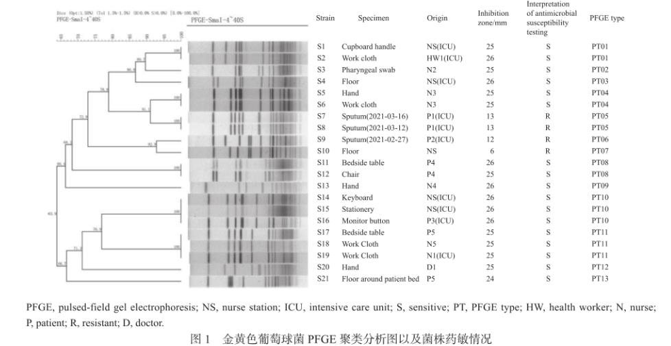 金黄色葡萄球菌PFGE分型、分布特征及药敏情况（二）