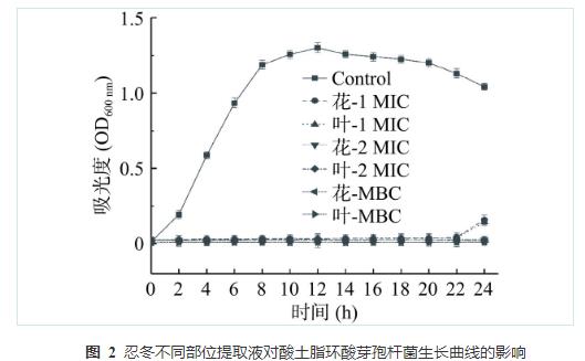 忍冬提取液对酸土脂环酸芽孢杆菌生长曲线、细胞形态和生物膜形成能力的影响（四）