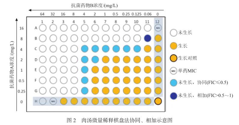 碳青霉烯类耐药革兰阴性菌联合药敏试验方法学、流程、优缺点和结果判读（二）