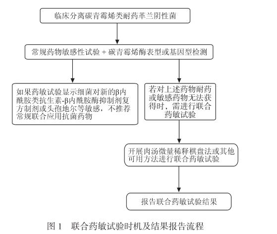 碳青霉烯类耐药革兰阴性菌联合药敏试验方法学、流程、优缺点和结果判读（一）
