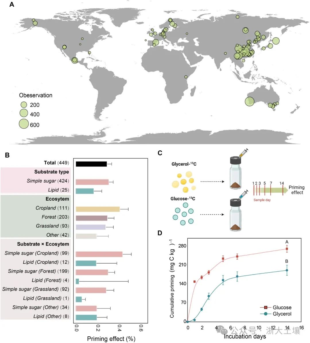 糖类与脂类碳源引发激发效应的差异及其微生物调控机制