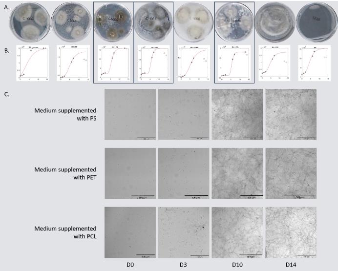 微生物生长曲线监测系统研究海洋环境中塑料上真菌群落的定植和生物降解潜力