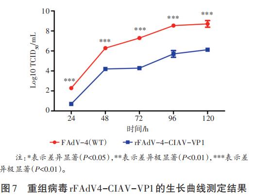基于体外重组鸡传染性贫血病毒生长曲线来研究复制效率（三）