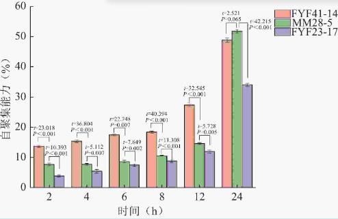 双歧杆菌分离鉴定、耐受性试验、益生特性试验及安全性评价（一）