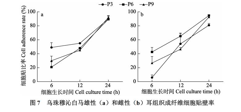 白马耳组织成纤维细胞体外培养、冷冻前及复苏后存活率、生长曲线绘制（三）