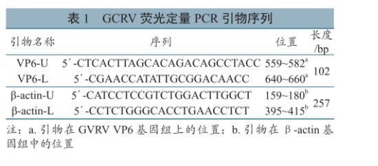 草鱼呼肠孤病毒培养与滴度测定、及在草鱼、CIK细胞上的生长特性研究（一）