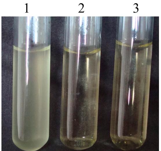 猪传染性胸膜肺炎放线杆菌的致病机制、药物敏感试验结果