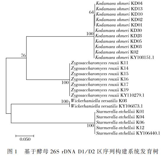 3株奥默柯达酵母生长曲线、pH耐受性、最适生长温度测定及对酱油香气和滋味影响（一）