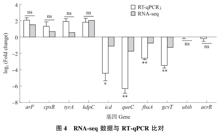 转录水平解析昆虫病原线虫共生菌菌株新型杀菌蛋白PPIA-L20基因表达调控——结果与分析