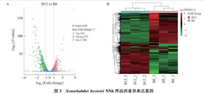 转录水平解析昆虫病原线虫共生菌菌株新型杀菌蛋白PPIA-L20基因表达调控——材料与方法