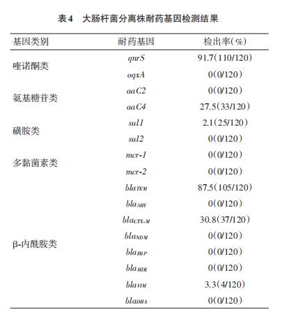 鸽源大肠杆菌分离株对13种抗菌药物耐药现状研究（三）