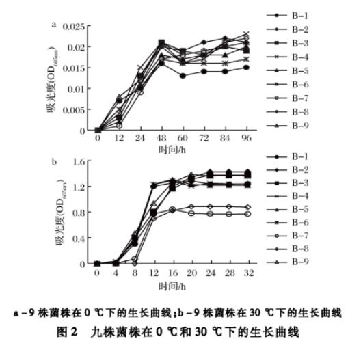 生食大眼金枪鱼中生物胺产生菌分离纯化、菌落总数、生长曲线及形状鉴定（二）