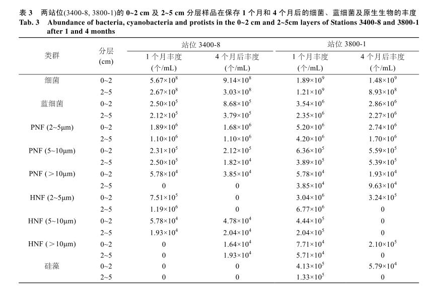 DAPI荧光染色计数法：不同保藏方式时间对海洋微型底栖生物计数结果的影响——结果、结论