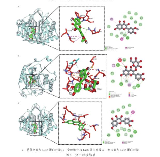 铁皮、叠鞘石斛提取物对沙门氏菌生长状况、群体运动的影响——结论与讨论、结论