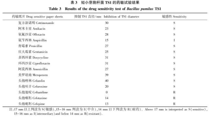 牦牛源短小芽孢杆菌生长曲线测定及药敏试验、体外抑菌结果解读（三）