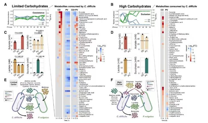量化人类肠道菌种对艰难梭菌长期生长的影响（二）