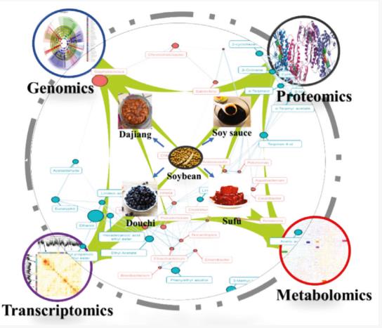 发酵豆制品基本生产工艺、微生物区系和风味的研究进展