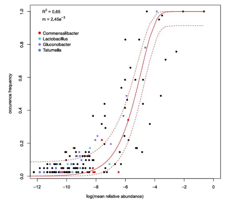 果蝇肠道常见微生物、运动性基因及在宿主中的生态策略
