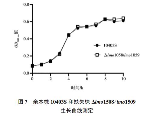 lmo1508/lmo1509基因缺失对单增李斯特菌生长曲线、抗氧化应激能力的影响（四）