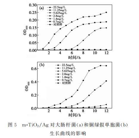 新型纳米复合材料介孔m-TiO?/Ag对大肠杆菌和铜绿假单胞菌生长、抑制作用（三）