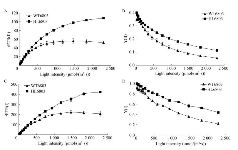 速生集胞藻6803光合放氧速率、生长曲线及基因组分析（三）