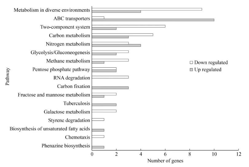 速生集胞藻6803光合放氧速率、生长曲线及基因组分析（六）