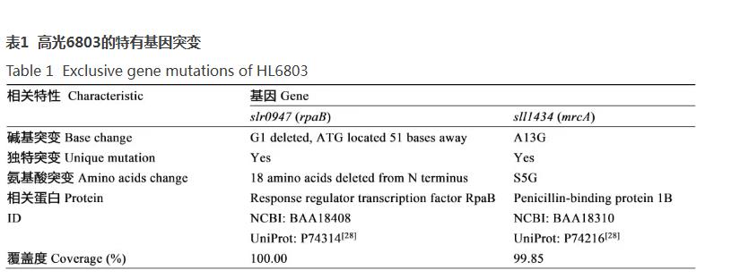 速生集胞藻6803光合放氧速率、生长曲线及基因组分析（四）