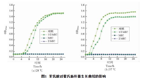 苯乳酸对霍氏肠杆菌生长曲线、细胞凋亡、抑制活性、DNA的影响（一）