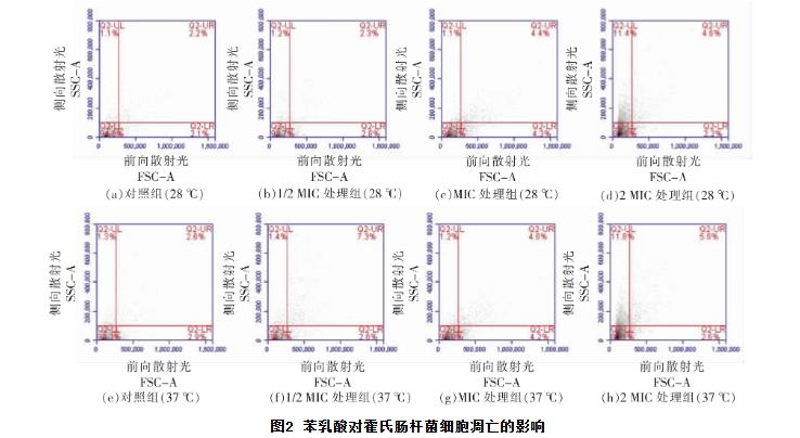 苯乳酸对霍氏肠杆菌生长曲线、细胞凋亡、抑制活性、DNA的影响（二）
