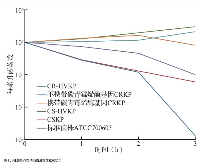 基于微生物生长曲线监测系统探究肺炎克雷伯菌菌株毒力与碳青霉烯类耐药性的关系（三）