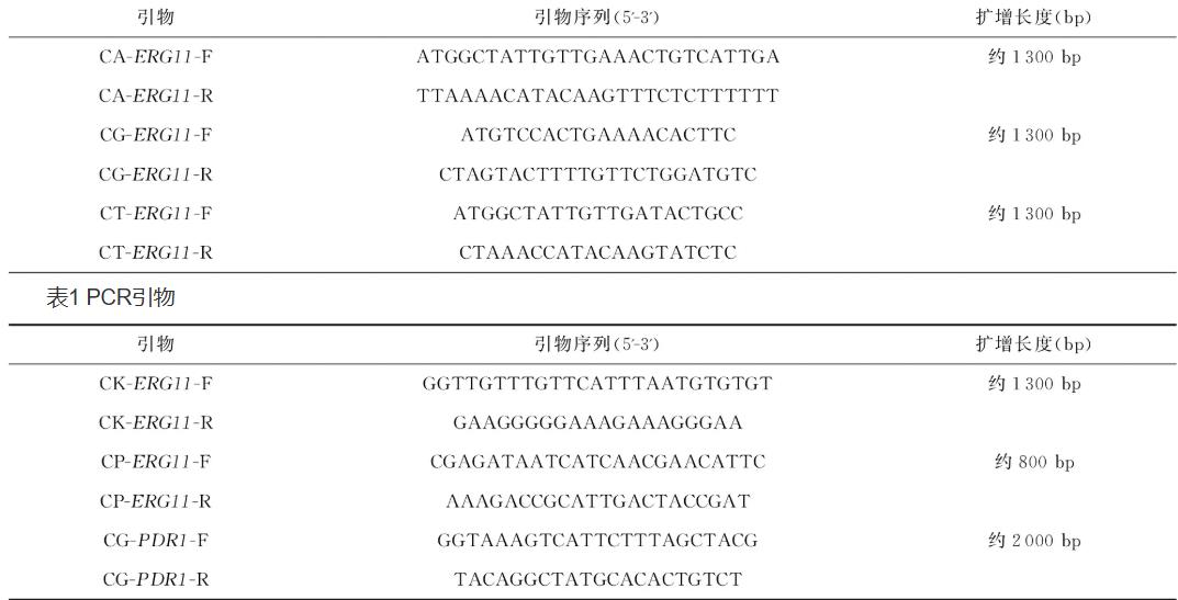 ?新疆地区侵袭性念珠菌感染菌株耐药性特征及分子机制研究（一）