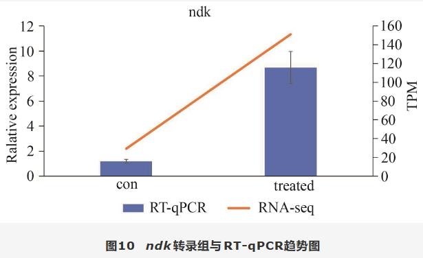 滇黄精水提物促进罗伊氏乳杆菌生长增殖和定植的作用机制（五）