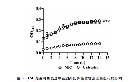 内酯型槐糖脂对白色念珠菌生长抑制和生物膜形成的影响（三）