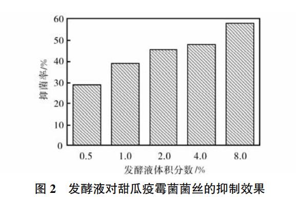基于生长速率法评估植物乳杆菌Bx6-2的发酵液对甜瓜疫霉菌抑制效果（二）
