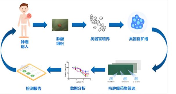 高通量药敏检测指导儿童急性白血病个体化治疗的初步探索——讨论