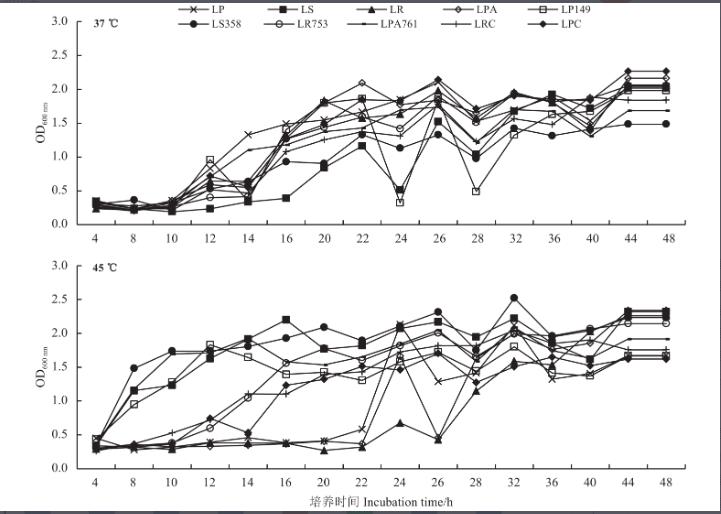 青贮饲料中耐高温乳酸菌的生物学特性及发酵特性研究（三）